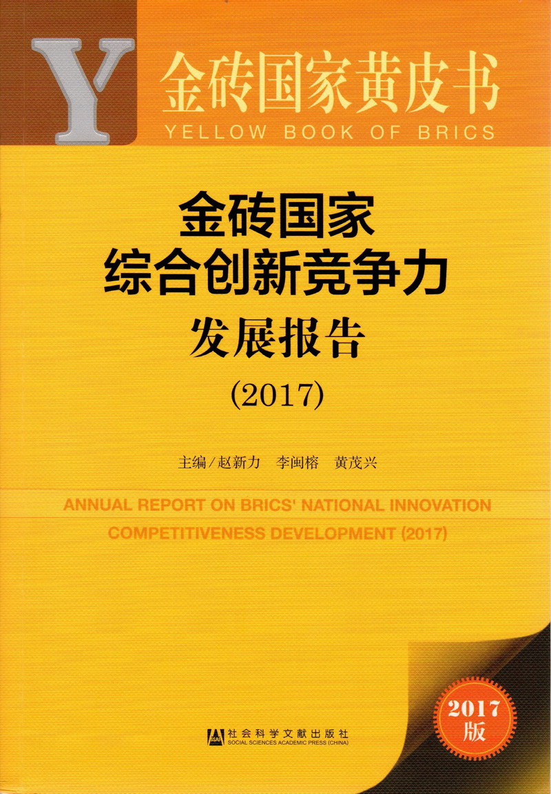 火影忍者JJ操逼逼免费网站金砖国家综合创新竞争力发展报告（2017）